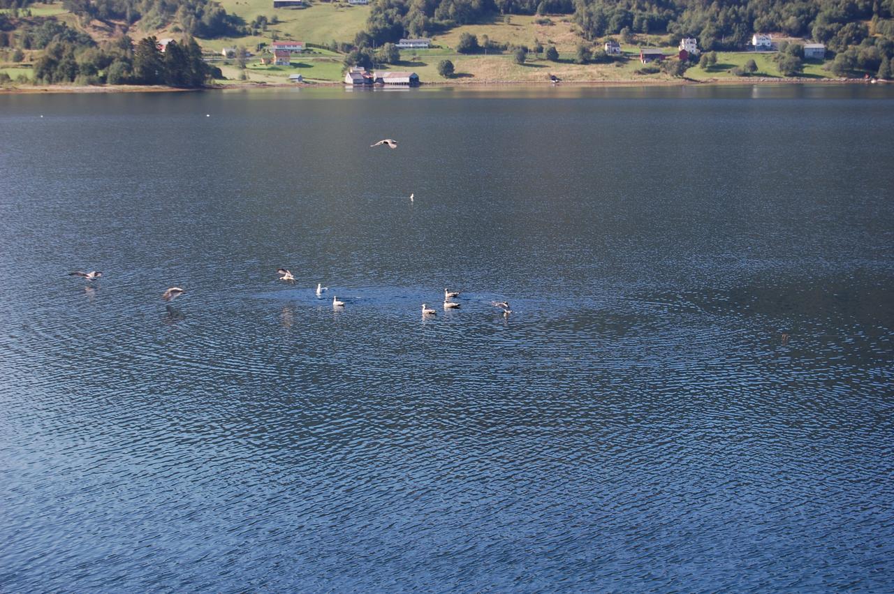 Fagervik Camping Tresfjord Exteriér fotografie